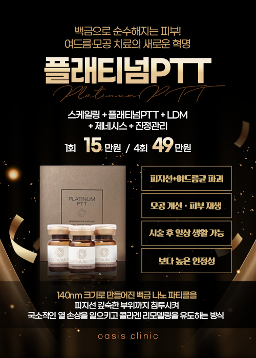 플래티넘PTT 도입