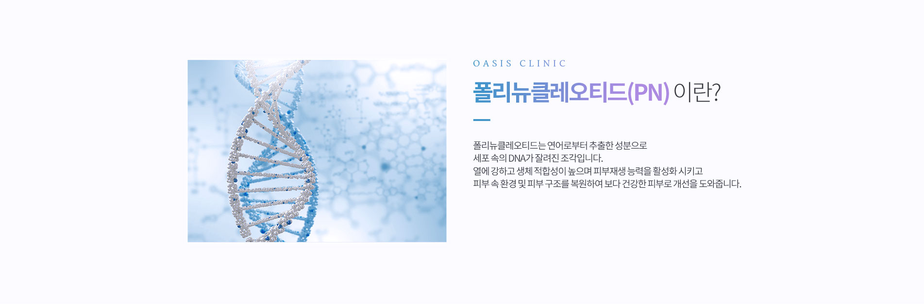 폴리뉴클레오티드(PN)이란?